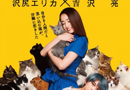 沢尻エリカ×猫主演映画「猫は抱くもの」最新特報映像も公開