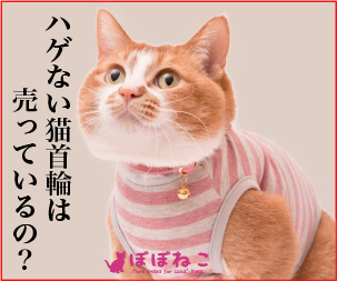 猫のハゲの原因と対処法とは 猫の部位別 症状別に紹介 Nekocan ネコキャン 猫との暮らしを もっと素敵に